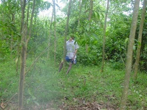 Người mẹ khóc ngất bên thi thể con trai treo cổ tự tử gần nhà máy