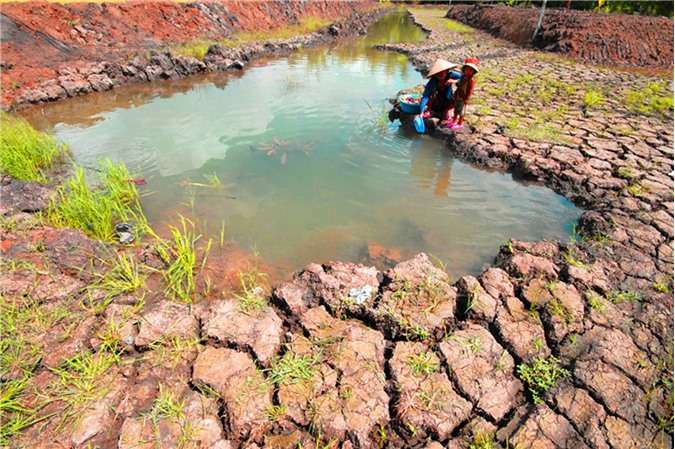 Mỹ viện trợ Việt Nam 500.000 USD hỗ trợ dân vùng hạn, mặn