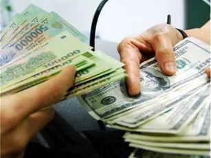 Ngân hàng Nhà nước: Sẵn sàng bán ngoại tệ khi cần thiết