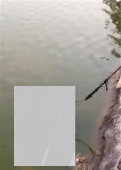 Nghệ An: Tá hỏa khi phát hiện thi thể phụ nữ dưới lòng hồ