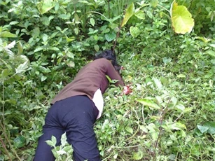 Nghĩ bị ghét bỏ, con trai giết chết mẹ chấn động Thái Nguyên