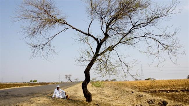 Người đi bộ không nhấc được chân vì nắng nóng làm đường nóng chảy