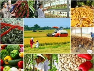 Nhiều khó khăn trong thu hút FDI vào lĩnh vực nông nghiệp