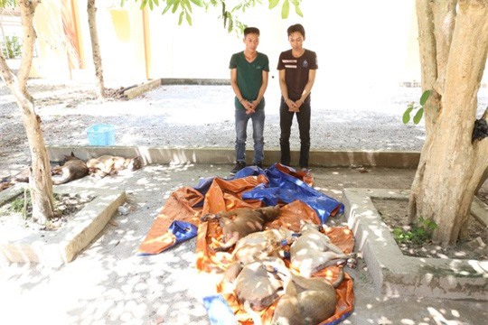 Nhóm "cẩu tặc" thuê xe ôtô để đi trộm chó trong đêm