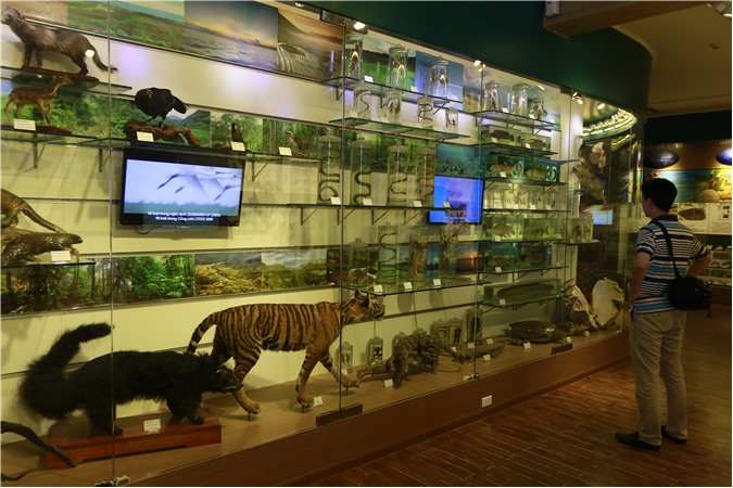 Những địa điểm vui chơi dịp Tết thiếu nhi ở Hà Nội