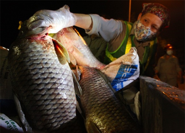 Hình ảnh chưa từng có về cá chết ở Hồ Tây