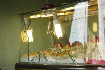 Nữ quái cầm đầu băng cướp bịt mặt, dí dao đe dọa cướp vàng