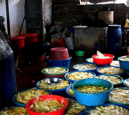 Phát hiện 2 cơ sở nhuộm chất cấm vào măng tươi