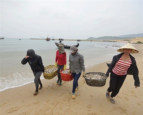 Phó Thủ tướng chỉ đạo mua hết hải sản đánh bắt xa bờ 