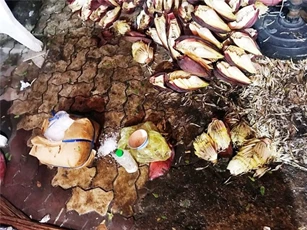 Sốc: 2 tấn chuối bào ngâm thuốc tẩy, hàn the ở Sài Gòn