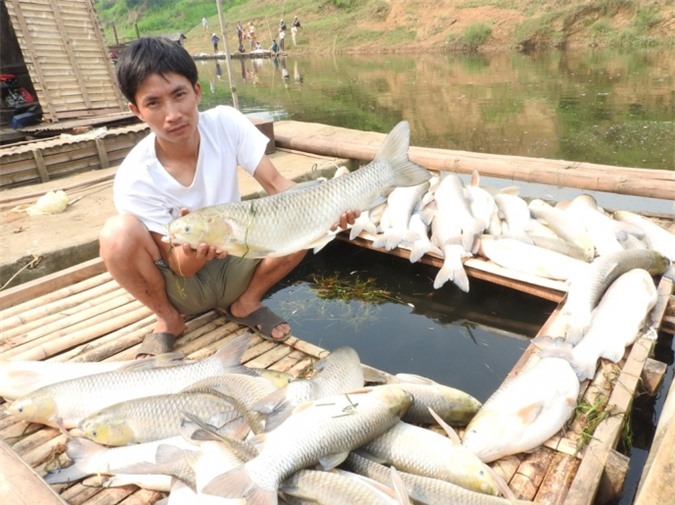 Sông Bưởi bị đầu độc làm cá chết: Nhà máy đền bù 1,4 tỷ cho người dân