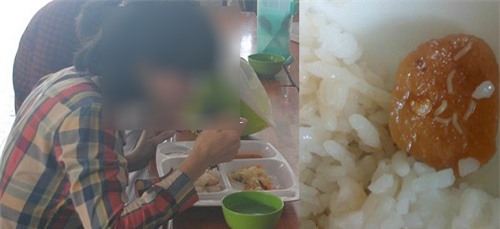 Suất cơm sinh viên mua ở căng tin có giòi: Ban quản lý KTX nói gì?
