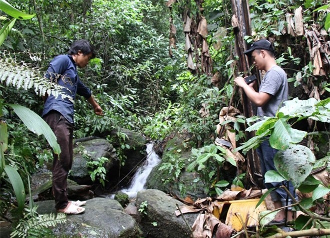 Thảm án 4 người chết ở Lào Cai: Chó nghiệp vụ truy tìm nghi can 