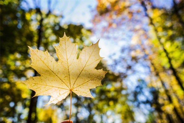 Thời tiết ngày 8/8: Miền Bắc ngày nắng, đêm mưa rào