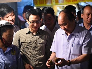 Thủ tướng yêu cầu Hà Nội phát triển các chuỗi cung cấp thực phẩm sạch