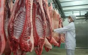 Việt Nam: Ký kết xuất khẩu thịt lợn bằng đường chính ngạch