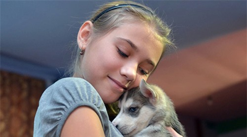 Tổng thống Putin gây bất ngờ khi tặng chó Husky cho bé gái 12 tuổi