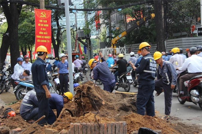 TP HCM: Cây cổ thụ “bật gốc” đè vào cửa hàng ở trung tâm thành phố