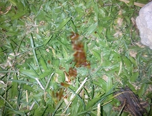 Truy tìm kẻ vác dao chém chết thanh niên tại sân bóng 