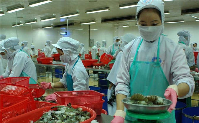 TPP có hiệu lực, Việt Nam được lợi 10,5 tỷ USD từ thị trường Nhật Bản 