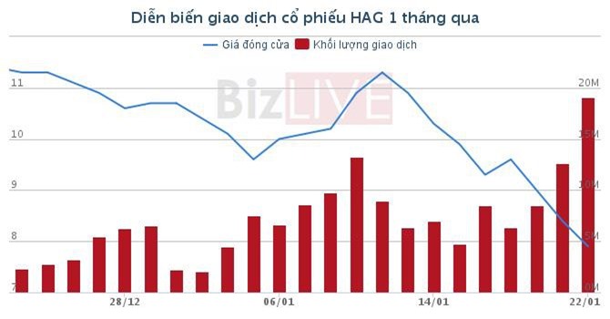 Vốn hóa sàn HOSE bốc hơi hơn 40 nghìn tỷ, ông Phạm Nhật Vượng vẫn “kiếm” 425 tỷ