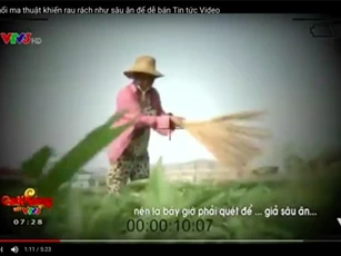 Phóng viên VTV lên tiếng xin lỗi vì dựng cảnh "dùng chổi quét rau"