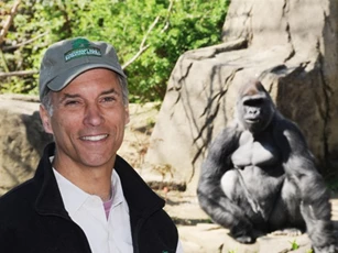 Vụ bắn chết khỉ đột cứu bé trai: Vườn thú Mỹ không hối hận