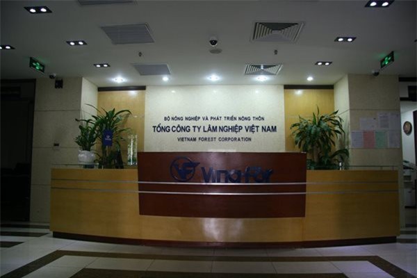 Ngành thuế đang hết kiên nhẫn với doanh nghiệp chây ỳ tiền nợ thuế