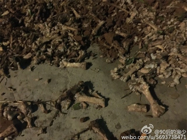 Kinh ho&#xE0;ng tr&#x1B0;&#x1EDD;ng h&#x1ECD;c d&#xF9;ng x&#x1B0;&#x1A1;ng g&#xE0; th&#x1ED1;i n&#x1EA5;u canh cho h&#x1ECD;c sinh