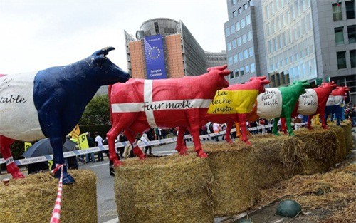 Sang châu Âu uống sữa còn rẻ hơn uống nước lọc