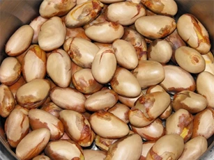 Những công dụng thần kỳ của hạt mít