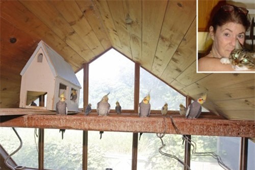 Nữ đại gia để lại gia sản kếch xù cho... Vẹt