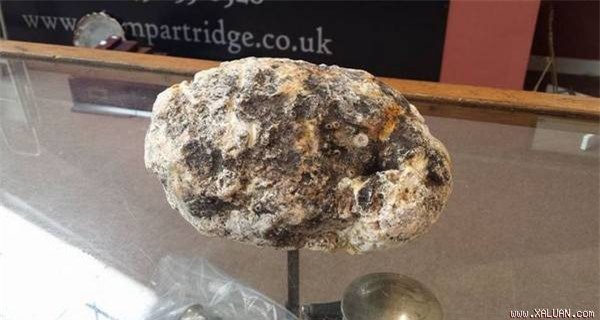 Dắt chó đi dạo, nhặt được "cục phân" trị giá gần 250 triệu đồng