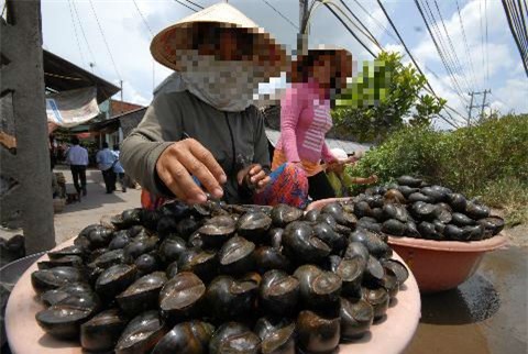 Hai người phụ nữ bị sét đánh chết khi đi bắt ốc