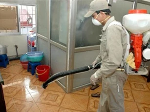 Tăng nguy cơ mắc ung thư khi tiếp xúc với thuốc diệt côn trùng ở trẻ