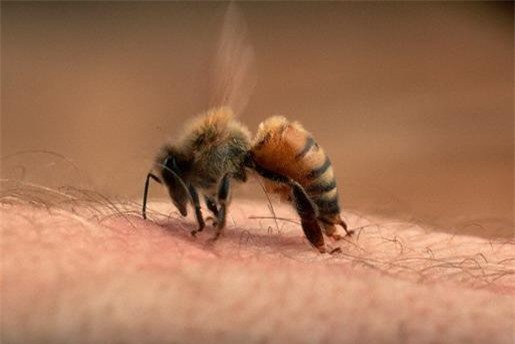 Khám phá những cách chữa bệnh kỳ dị nhất thế giới