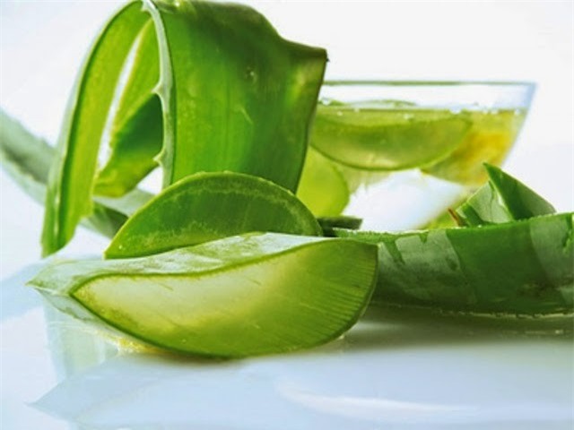 Những tác dụng của "thần dược" lô hội