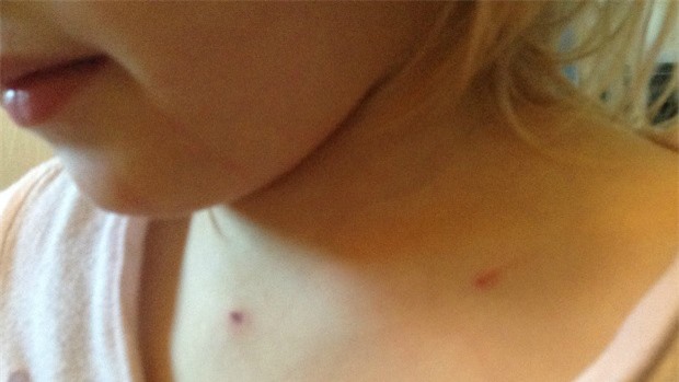 Cha dùng nắm đấm đế cứu con gái thoát khỏi nanh vuốt báo sư tử