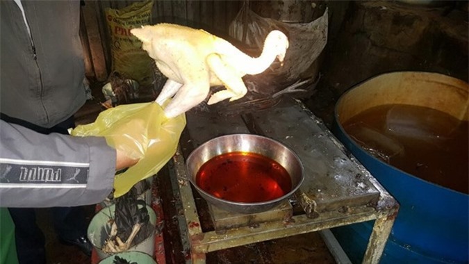 Phát hiện lò mổ dùng hóa chất tạo màu chỗ gỗ để nhuộm vàng gà