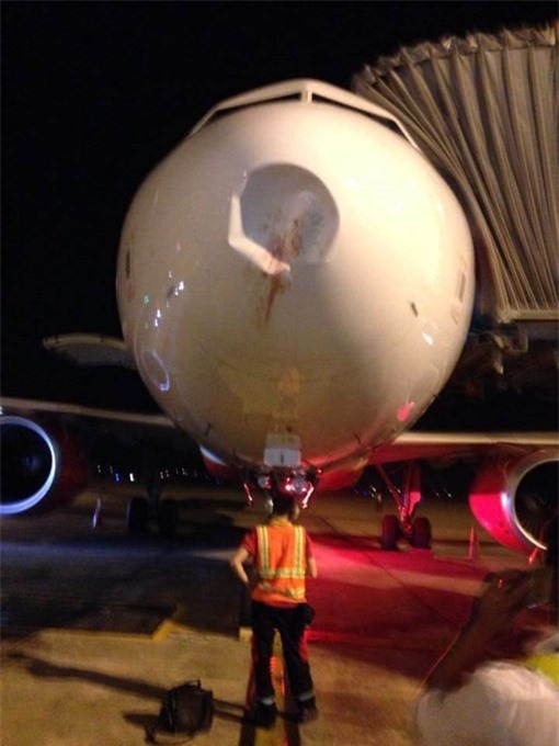 Máy bay Vietjet Air bị móp đầu do... tông phải chim 