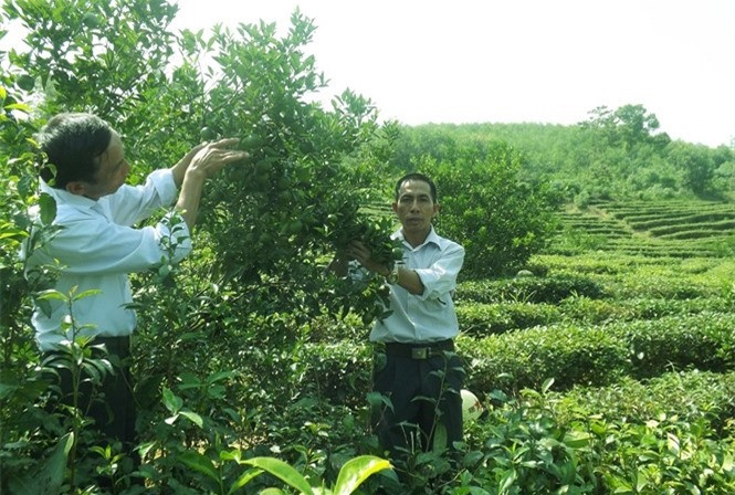 Thành tỷ phú nhờ bị mắng 'gàn dở' khi bỏ phố về rừng