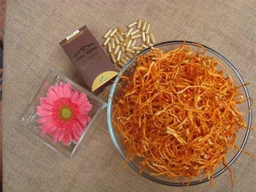 Đông Trùng Hạ Thảo được sản xuất thành công tại ĐH Nông-Lâm TPHCM