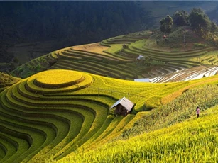 Hà Giang đẹp mê hồn mùa lúa chín