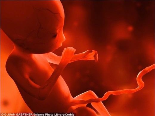 Sốc với bé trai 4 tuổi ở Ấn Độ mang thai 