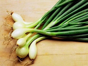 Những tác dụng thần kỳ của hành lá