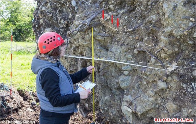 Bất ngờ bộ xương thời Trung cổ được khai quật dưới gốc cây đại thụ