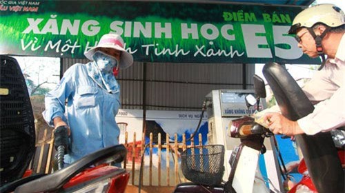 Phó Thủ tướng chỉ đạo đẩy mạnh sử dụng xăng sinh học