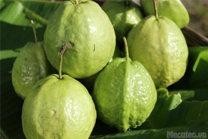 Các phương pháp trị ho hiệu quả trong mùa lạnh