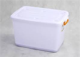 Hốt hoảng phát hiện thi thể thai nhi trong hộp nhựa