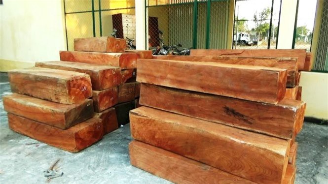 ​Bắt kiểm lâm viên thứ 3 vụ thả xe chở gỗ